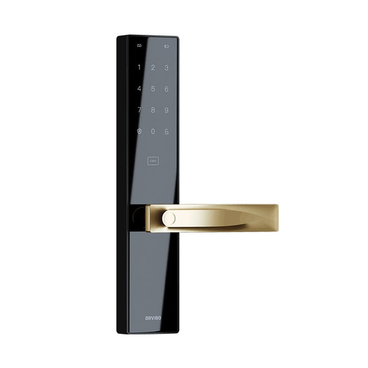 WiFi Smart Door Lock Black handle.